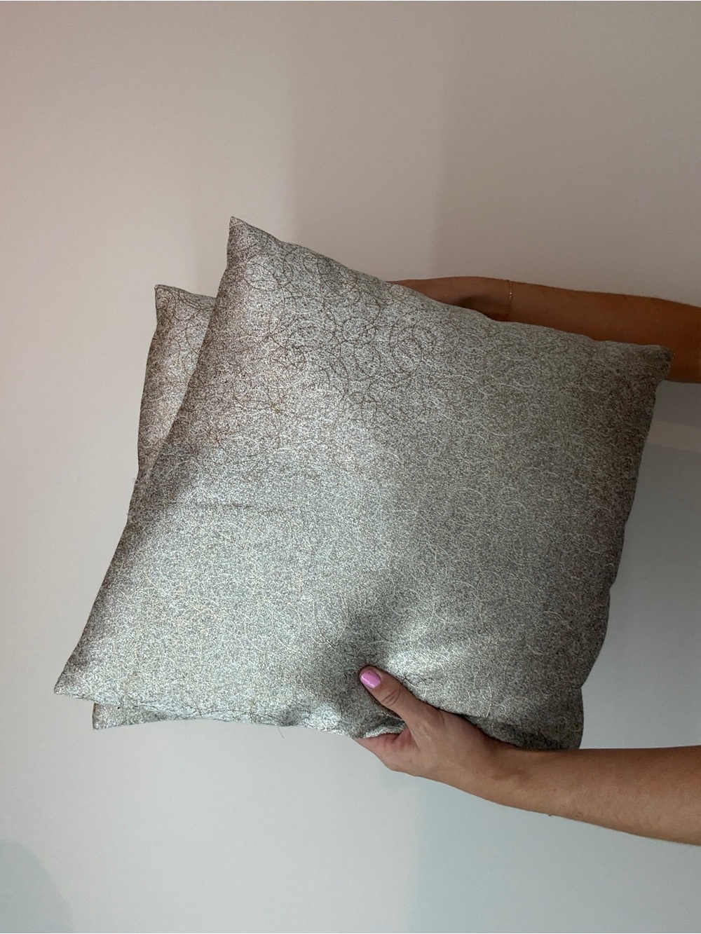Decorative Pillow Pair in Light Silver-Gold - Unbranded